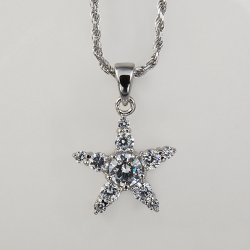 Sterling Silver Cubic Zirconia Star Pendant with Chain